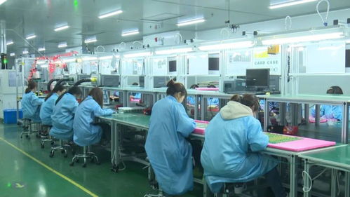 冲刺开门红 宝应重点企业宜楠科技一季度销售与服务双突破